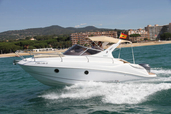 Salpa Laver x23 – Image 2